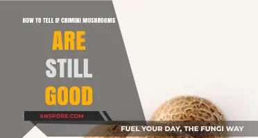 Are Your Crimini Mushrooms Still Fresh? Quick Tips to Check