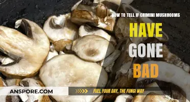 Spotting Spoiled Crimini Mushrooms: Signs of Bad Mushrooms