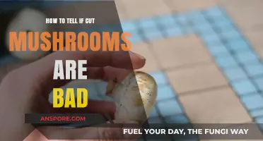 Spotting Spoiled Mushrooms: Signs Your Cut Fungi Have Gone Bad