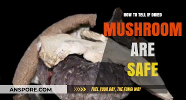 Identifying Safe Dried Mushrooms: A Guide to Quality and Freshness