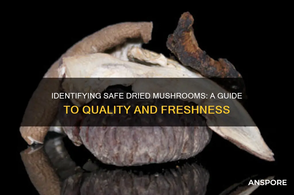 how to tell if dried mushrooms are safe