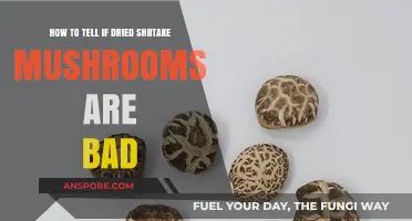 Spotting Spoiled Shiitake: Signs Your Dried Mushrooms Have Gone Bad