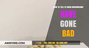 Identifying Spoiled Enoki Mushrooms: Signs of Bad Enoki Mushrooms