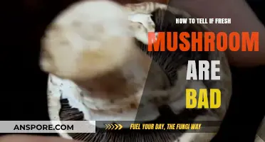 Spotting Spoiled Mushrooms: Signs Your Fresh Fungi Have Gone Bad