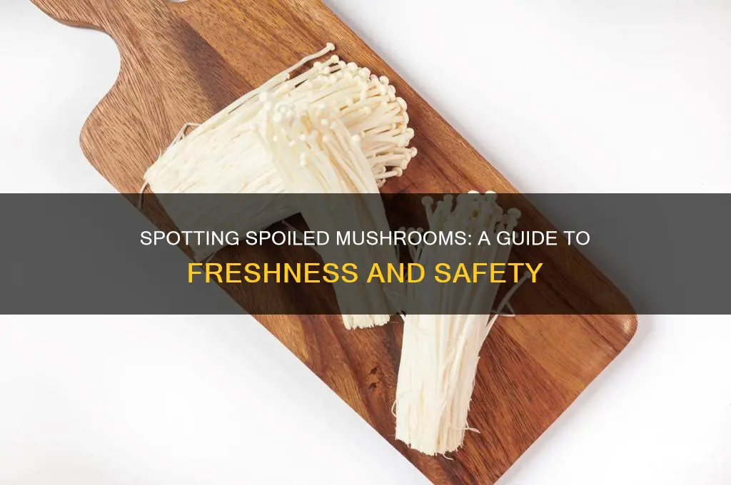 how to tell if fresh mushrooms are spoiled