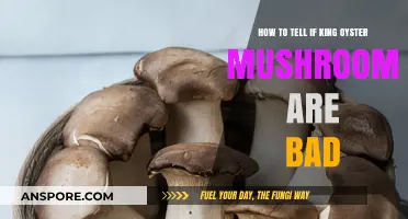 Spotting Spoiled King Oyster Mushrooms: Signs of Bad Quality