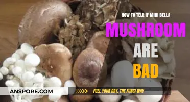 Spotting Spoiled Mini Bella Mushrooms: Signs of Bad Quality