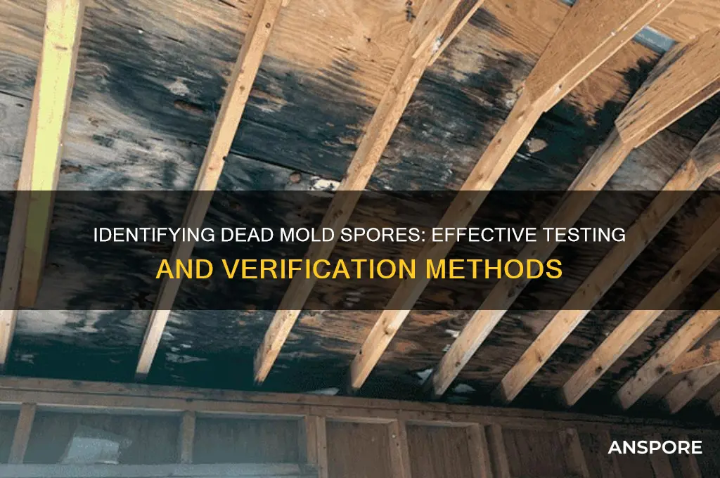 how to tell if mold spores are dead