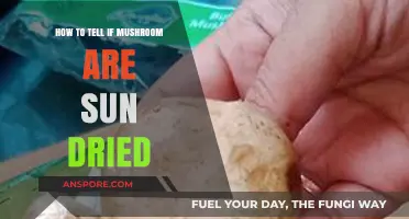 Identifying Sun-Dried Mushrooms: Key Characteristics and Tips for Quality