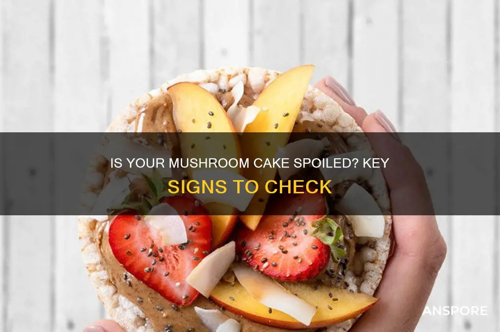 how to tell if mushroom cake is bad