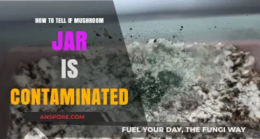 Spotting Contamination: Signs Your Mushroom Jar is Compromised