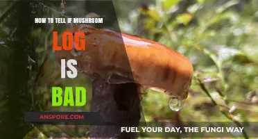 Identifying Spoiled Mushroom Logs: Signs of Decay and Contamination