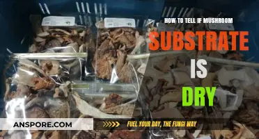 Identifying Dry Mushroom Substrate: Key Signs and Tips for Growers