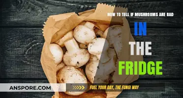 Spotting Spoiled Mushrooms: Signs Your Fridge Fungi Have Gone Bad