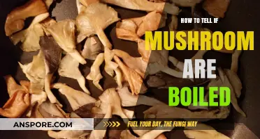 Identifying Boiled Mushrooms: Texture, Color, and Aroma Clues to Look For
