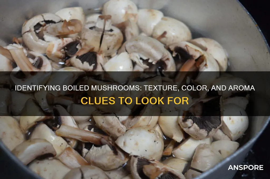how to tell if mushrooms are boiled