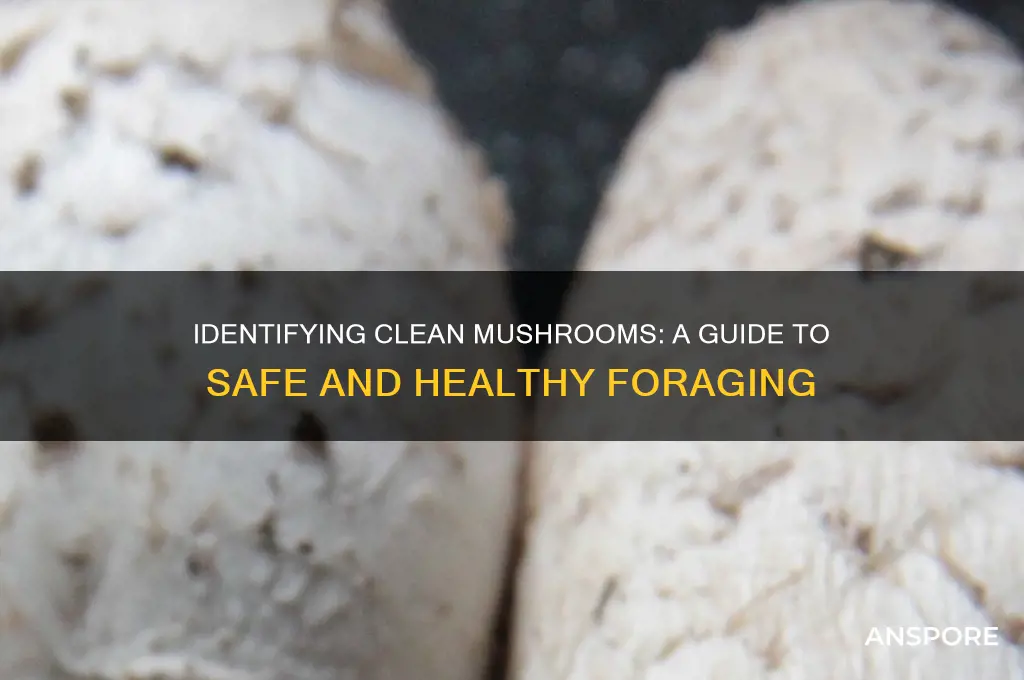 how to tell if mushrooms are clean