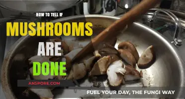 Perfectly Cooked Mushrooms: Signs They're Ready to Serve