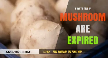 Identifying Expired Mushrooms: Key Signs and Safety Tips