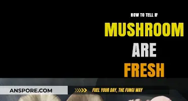 Identifying Fresh Mushrooms: A Guide to Quality and Freshness