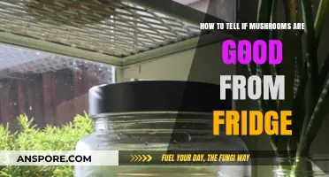 Fresh or Foul? Spotting Good Mushrooms in Your Fridge