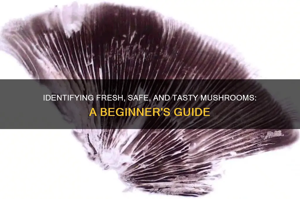 how to tell if mushrooms are good