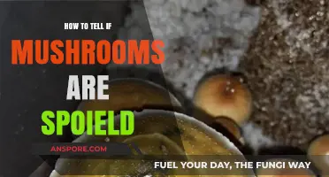 Identifying Spoiled Mushrooms: Key Signs and Safety Tips