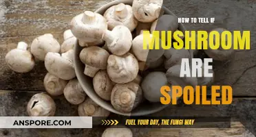 Identifying Spoiled Mushrooms: Key Signs and Safety Tips