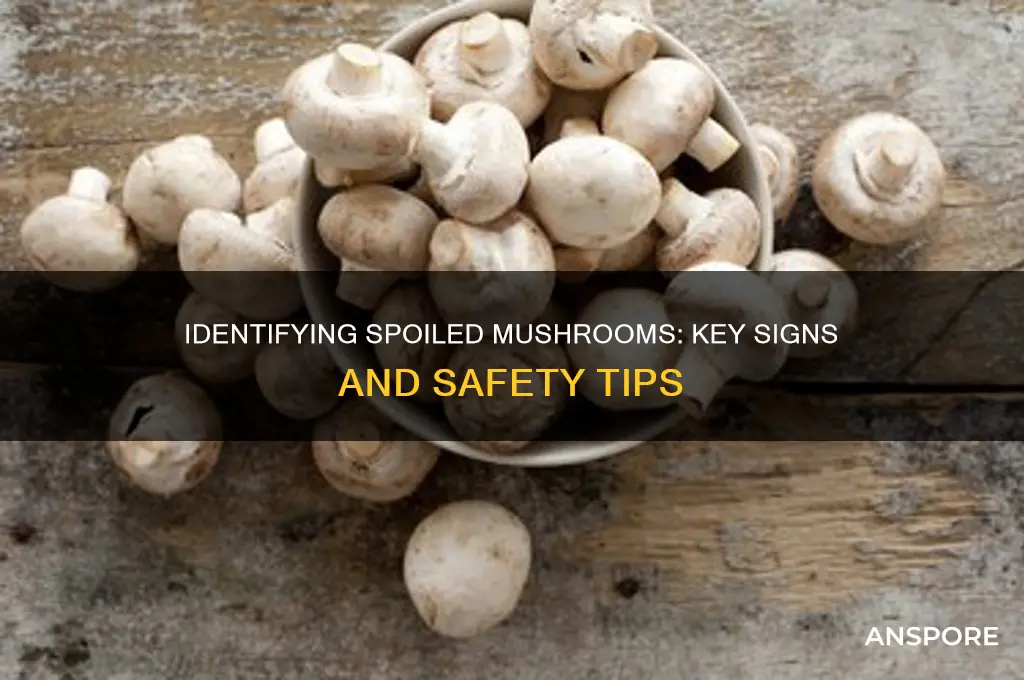 how to tell if mushrooms are spoiled