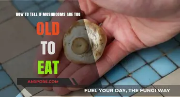 Spotting Spoiled Mushrooms: Signs Your Fungi Are Past Their Prime