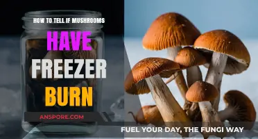 Identifying Freezer Burn on Mushrooms: A Quick and Easy Guide