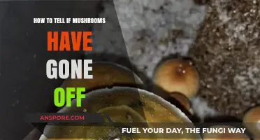Spotting Spoiled Mushrooms: Signs Your Fungi Have Gone Bad