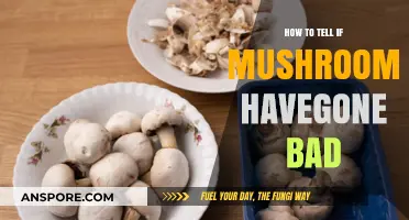 Spotting Spoiled Mushrooms: Signs Your Fungi Have Gone Bad