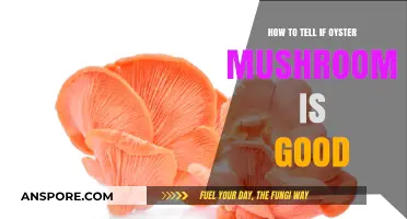 Identifying Fresh Oyster Mushrooms: A Guide to Quality and Safety