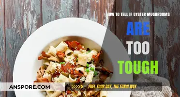 Identifying Overcooked Oyster Mushrooms: Texture and Taste Indicators