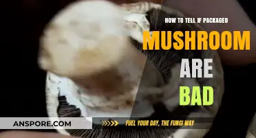 Spotting Spoiled Packaged Mushrooms: Signs to Check Before Cooking