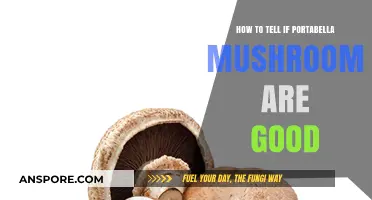 Identifying Fresh Portabella Mushrooms: A Guide to Quality and Freshness