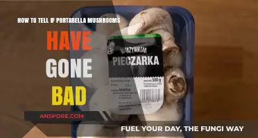 Spotting Spoiled Portabellas: Signs Your Mushrooms Have Gone Bad
