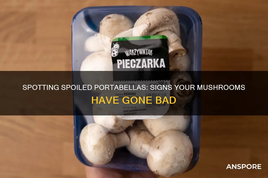 how to tell if portabella mushrooms have gone bad