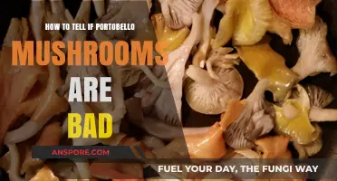 Spotting Spoiled Portobellos: Signs Your Mushrooms Have Gone Bad
