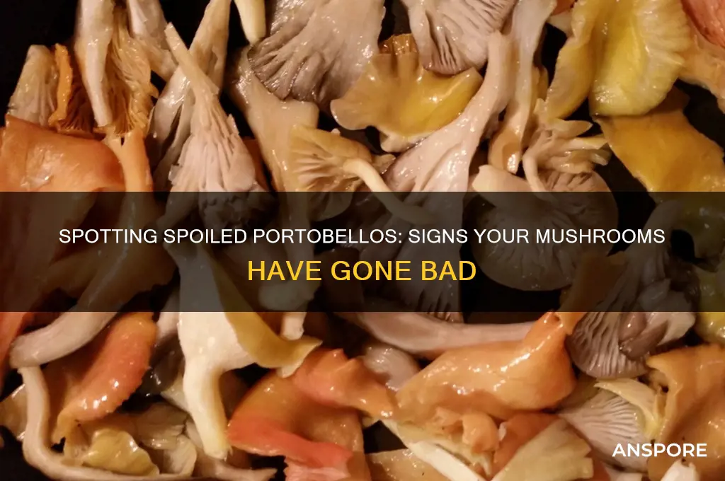 how to tell if portobello mushrooms are bad