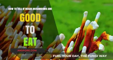 Identifying Edible Reishi Mushrooms: A Guide to Safe Consumption