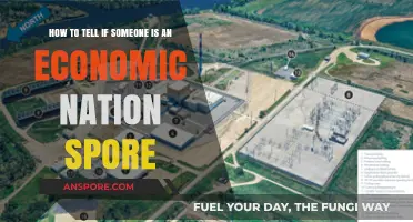 Identifying Economic Nation Spores: Key Traits and Indicators to Spot Them