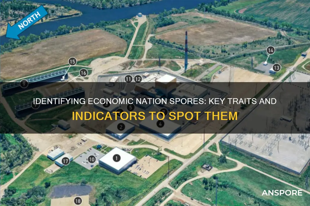 how to tell if someone is an economic nation spore