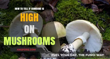 Spotting Mushroom Intoxication: Key Signs and Symptoms to Watch For