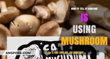 Spotting Mushroom Use: Signs, Symptoms, and Behavioral Indicators to Watch