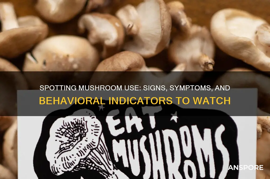 how to tell if someone is using mushrooms