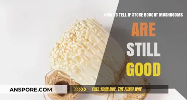 Fresh or Not? How to Check Store-Bought Mushrooms for Freshness