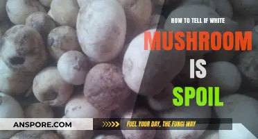 Identifying Spoiled White Mushrooms: Signs and Tips for Freshness