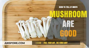 Identifying Fresh White Mushrooms: A Guide to Quality and Freshness